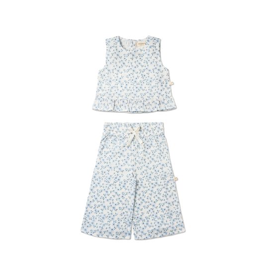 Ruffle Top & Pants Set